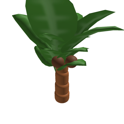 Beach Palm Tree