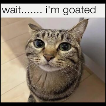  (RELEASE) wait... im goated