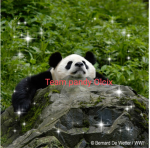 Team pandy Olcix