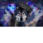 King Wolfs United
