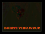 Burnt.vine film crew