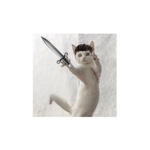 Ninja_Kat's Studio