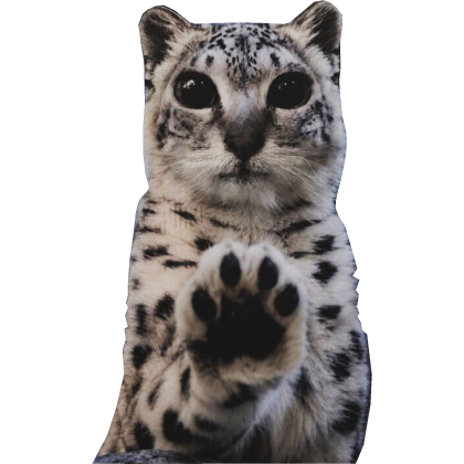 Snow Leopard Paws You