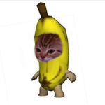 bloxki