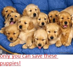 save puppies! NOT A FAKE GAME!
