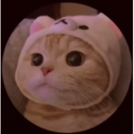 0_Mia15