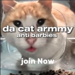 DA cat armmy