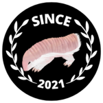PRIMORDIAL EXECUTIONER PINK FAIRY ARMADILLOS