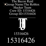 Roblox hacker team