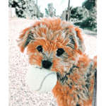 Boba.