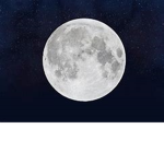 Lunar Tribe