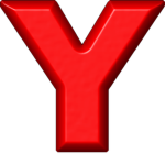 The Y team