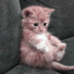 Cutest_Galaxy26 group
