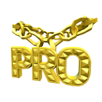 Gold Pro Chain