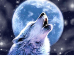 ~Moonheart wolves~