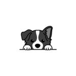 My dog is a Virgo