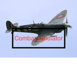 Combat simulator