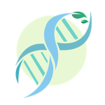 Biolab Interactive