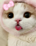 cute lil berries!