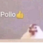 Cent Obscure and Chicken Family