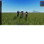 Musket group
