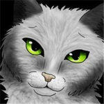warrior catz