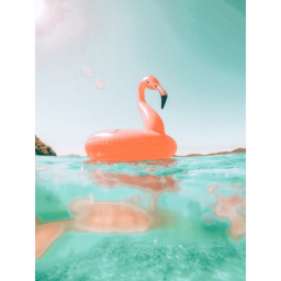 Tropical Paradise