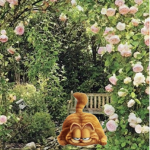 garfden