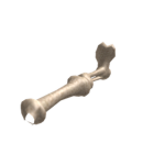 Skeleton Leg Bro's