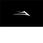The Lakai shoes skate team