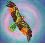 The Hawks_Group