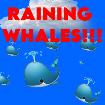 Raining Whales!!!! 