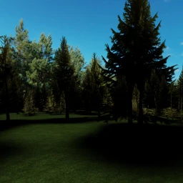 Woods icon