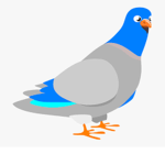PIGEONS UNITE!