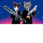 Hidden Cats Club