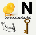 Reidsclan