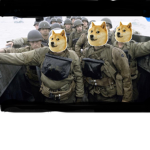 _THE DOGE ARMY_