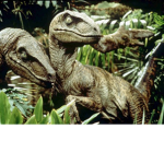 Echo_The_Raptor_Squad