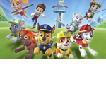 The Paw Patrol Squad