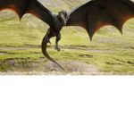Dragon Official Roblox Group