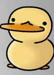 DUCK CULT :)