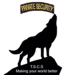 T.S.C.S (The Secret Contracting Service)