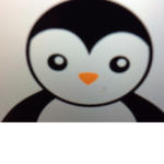 Daa Penguin squad