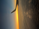 Roblox legends and dog fan group