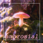 a̺͆ m̺͆ b̺͆ r̺͆ o̺͆ s̺͆ i̺͆ a̺͆ l̺͆