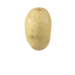 Potato Group (idk why i made this loll)