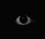 The Watchful Eye