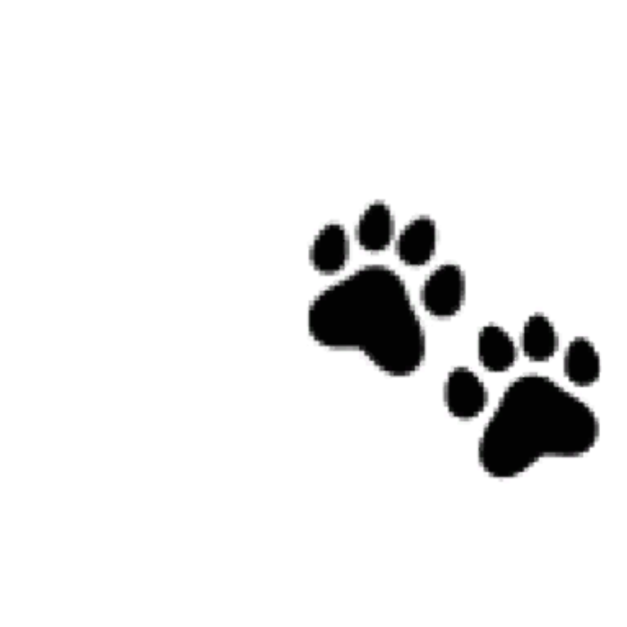 Cute Pixel Paws