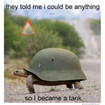 TheDeadTurtles