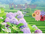 IT’S MY FLOWER